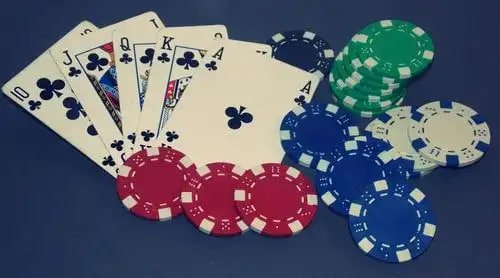 91bet
